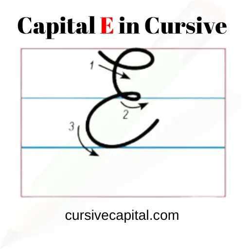 Write E in Capital Cursive