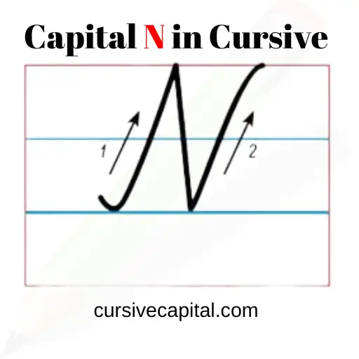 Capital Cursive N Writing