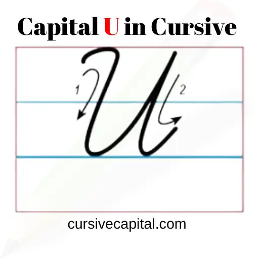 Capital U in Cursive