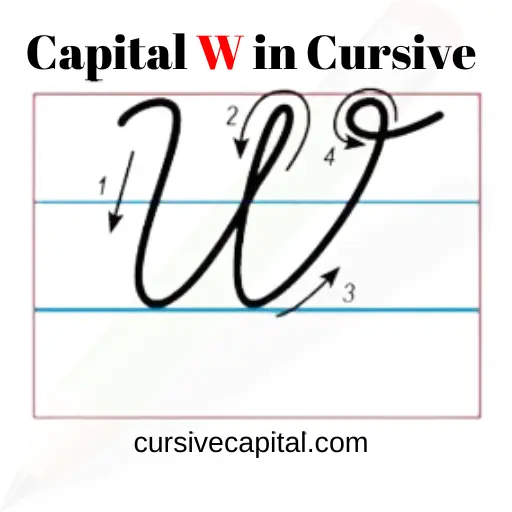 Steps to Write Capital W Cursive