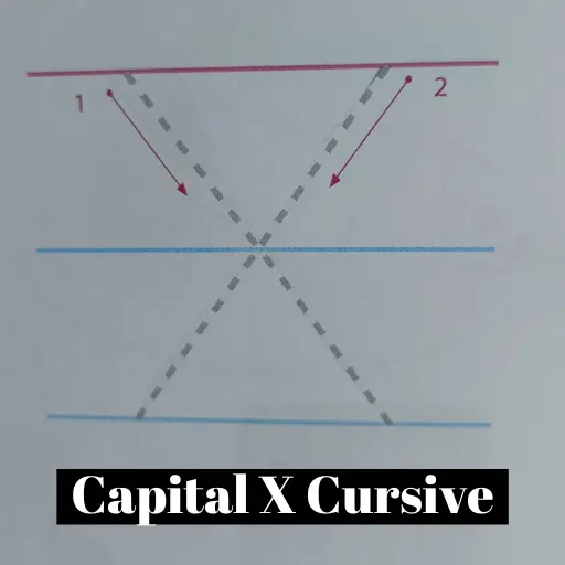 Cursive X Worksheet