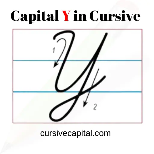Understanding Cursive Writing Y in Capital