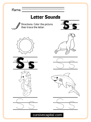 Cursive Alphabet S Worksheet