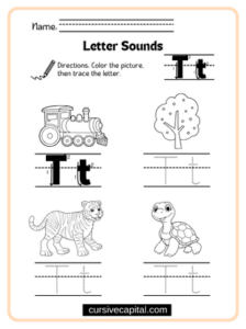 How to Write Capital T in Cursive? (Capital Cursive T)